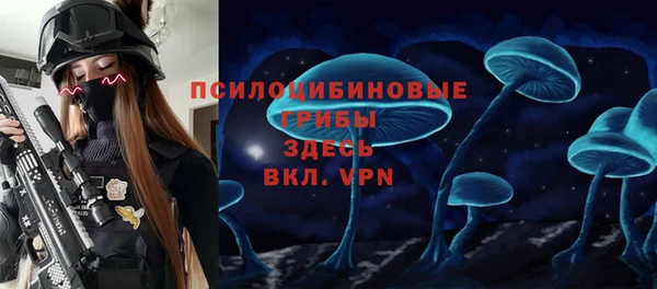 прущие грибы Армянск