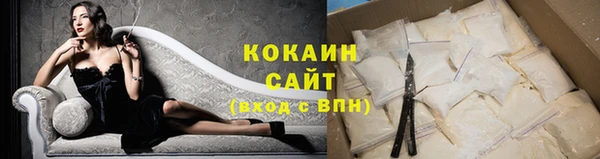 прущие грибы Армянск
