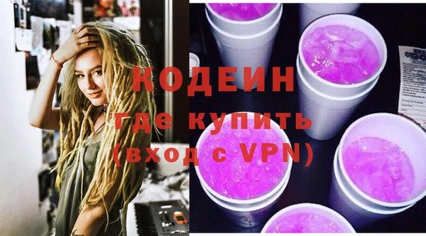 индика Елабуга
