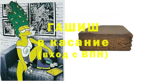 молекула духа Ельня