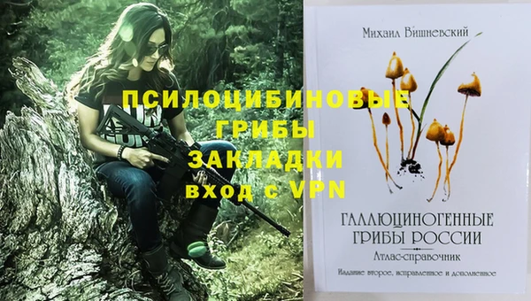таблы Арсеньев