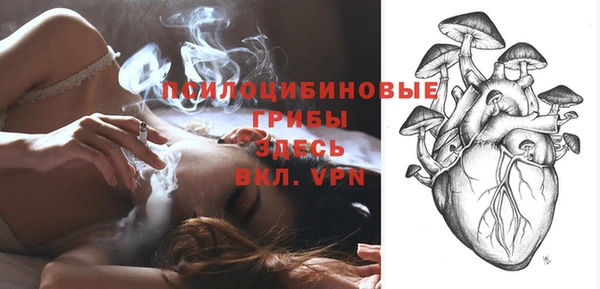прущие грибы Армянск
