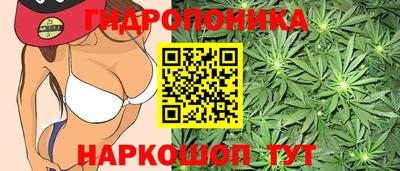 ALPHA PVP Краснознаменск