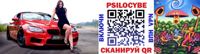Псилоцибиновые грибы Cubensis  omg сайт  Уссурийск 