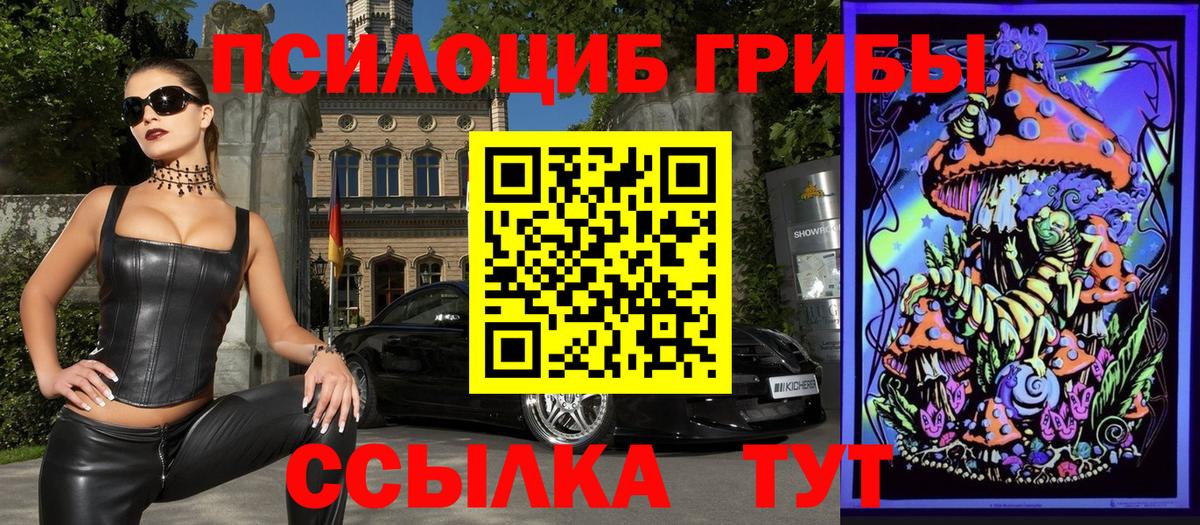 Галлюциногенные грибы Psilocybine cubensis Уссурийск